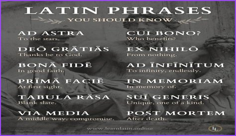 A Profile Of A Latin Beauty