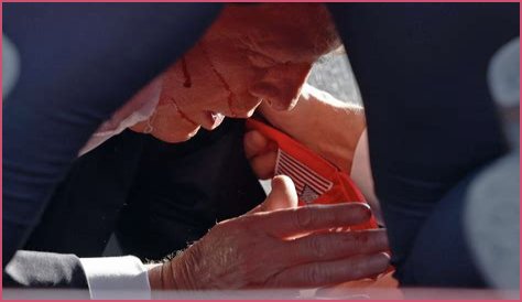 The Ocean Has Sprung A Leak And The Consequences Will Be A Disaster